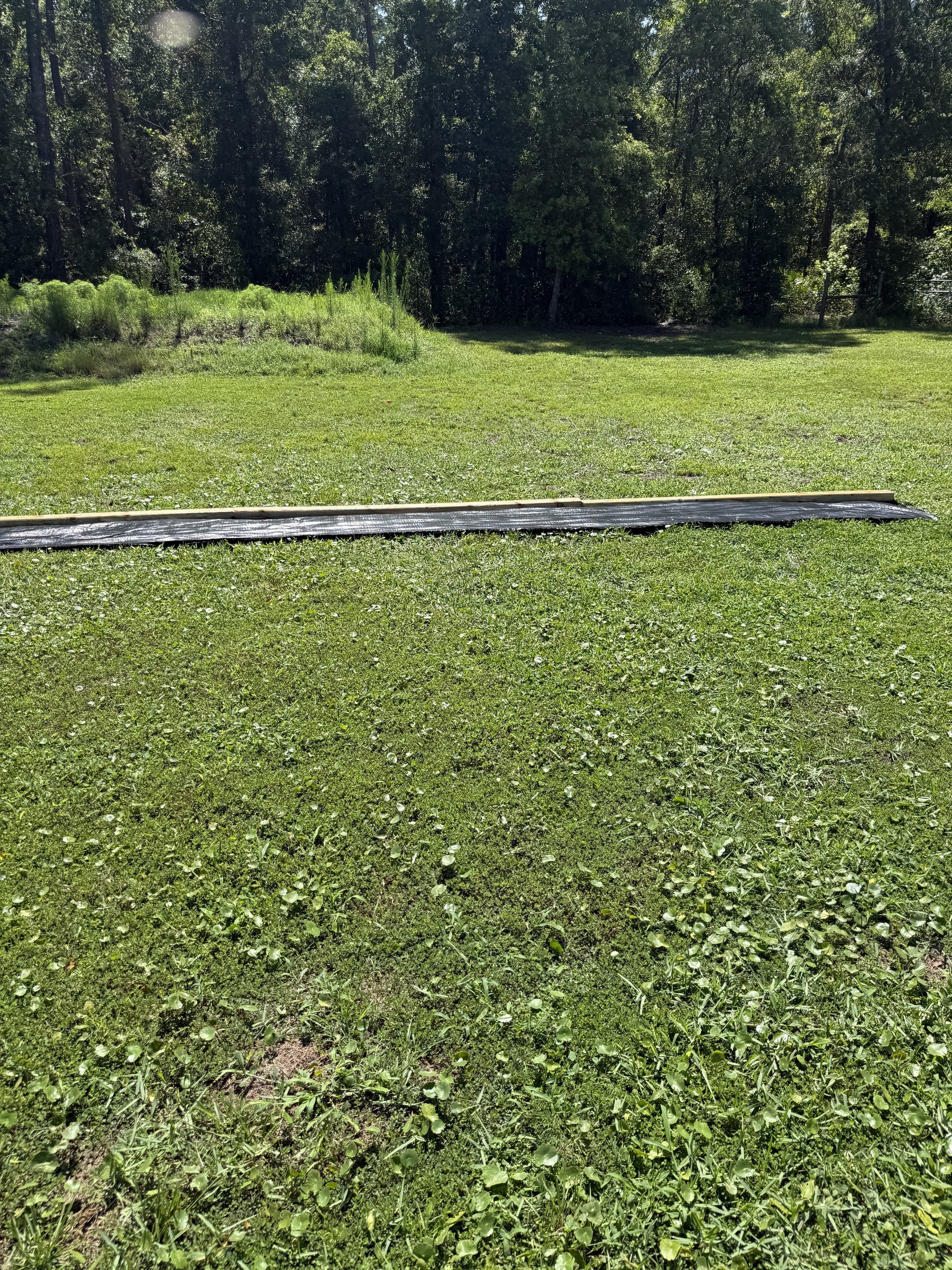 Open grassy backyard before playground build — only a single timber board laid