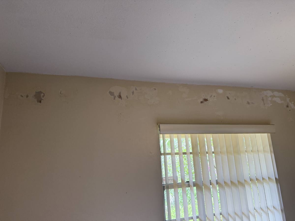 Bedroom wall with water damaged patches near ceiling and window — before paint prep and repair