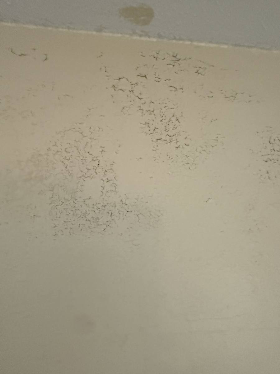 Cracked and peeling paint surface on wall — closeup showing condition before paint prep and repair
